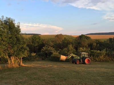 Bild 27 aus  Landgasthaus Hoffmann