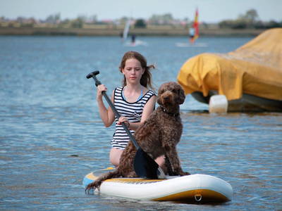 Bild 14 aus  Küselhof und Reiterhof Witt