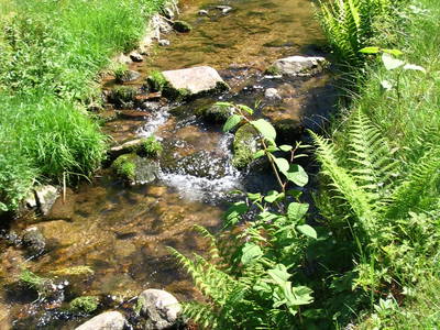 Bild 29 aus  Wellness-Bauernhof Eulersbacher Hof