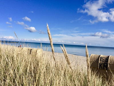 Bild 77 aus  LandSelection Biohof Fehmarn