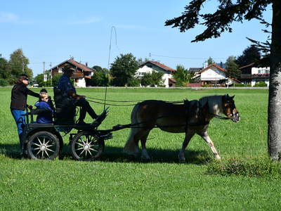 Bild 52 aus  Augustinerhof