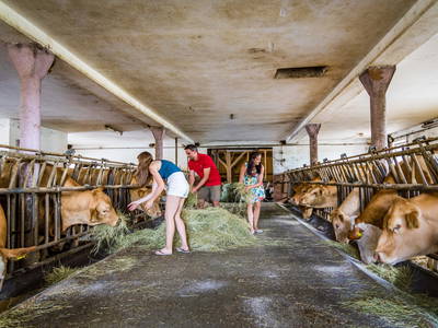 Foto von Oberpfälzer Wald