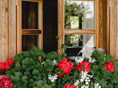 Bild 18 aus  Kimpelehof