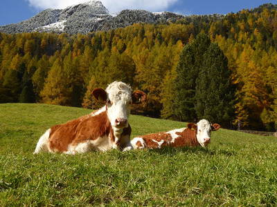 Bild 10 aus  Oberhof