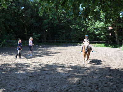 Bild 4 aus  Ferienhof Hobbie