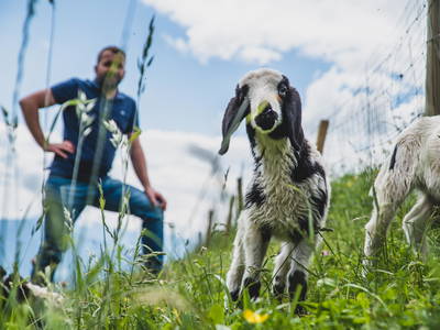 Bild 43 aus  Wiesbauer - Urlaub in Schenna - Südtirol