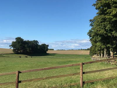 Bild 10 aus  Sprengerhof