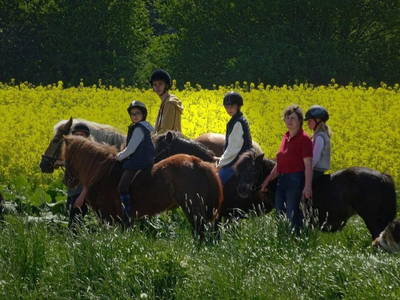 Bild 2 aus  Ferienhof Wiesengrund