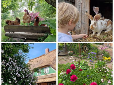 Bild 23 aus  Urlaub unterm Reet