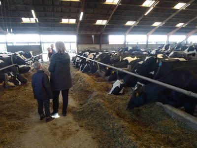 Bild 24 aus  Vejstrupgaard