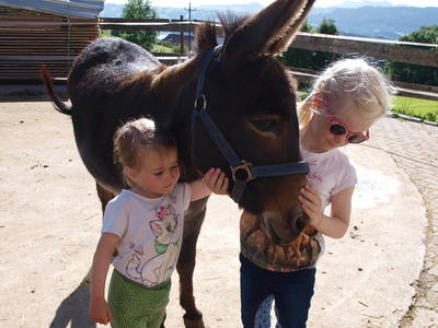 Unser Esel Theo freut sich über viele Kuscheleinheiten
