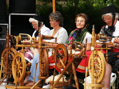 Bild 17 aus  Erlenhof im Oderbruch - Rund ums Schaf