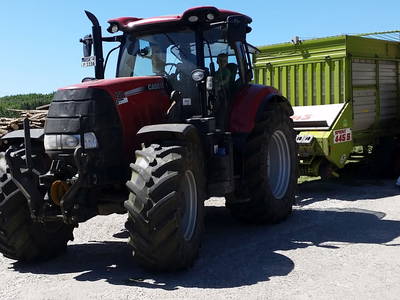 Bild 19 aus  Schellen Hof