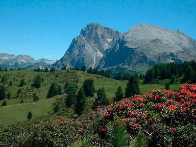 Bild 16 aus  Platzerhof