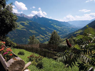 Bild 8 aus  Grannerhof - Urlaub auf dem Bauernhof