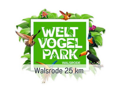 Bild 41 aus  Meine Schule Sehlingen