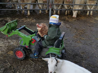 Spazierfahrt auf dem Trettrecker