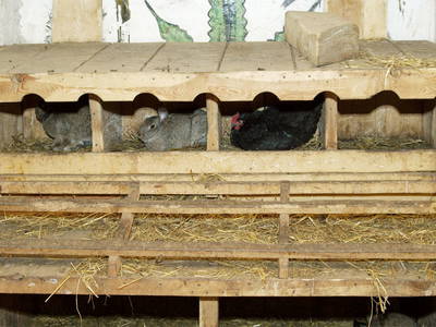 Bild 17 aus  Behringhof am Gamengrund