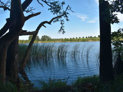 Bild 11 aus  Der Schafstall