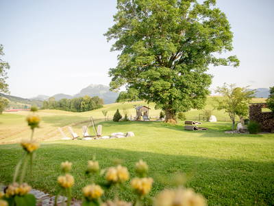 Bild 2 aus  Hof Gottenau