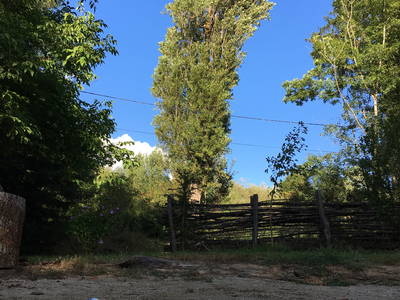 Pétanque -  Französischer Nationalsport. Der Platz ist gleich eben dem Tennisplatz