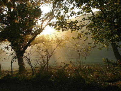 Bild 7 aus  Thelenshof