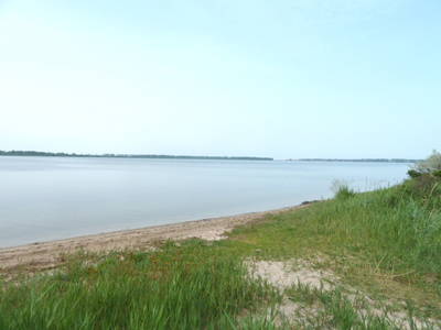 Naturstrand am Salzhaff, flaches Wasser - ideal für die Kleinsten