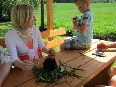 Bild 14 aus  Burkelshof