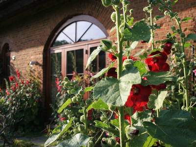 Bild 6 aus  Quellenhof