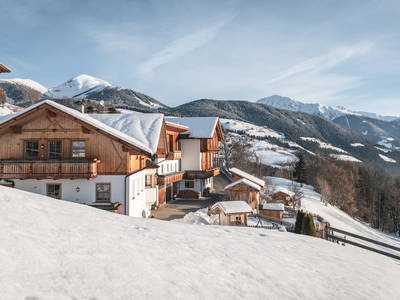 Bild 3 aus  Appartement Birkenhof - Urlaub mit Pferden und Alpakas