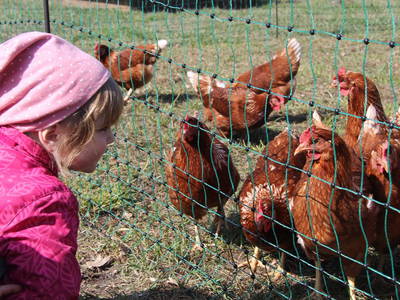 Bild 6 aus  Hof Suhrkamp