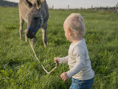 Bild 87 aus  LandSelection Ferienhof Zur Hasenkammer