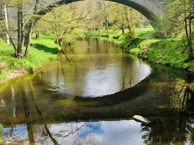 Bild 12 aus  Ferienhof & Campingplatz Schweinmühle
