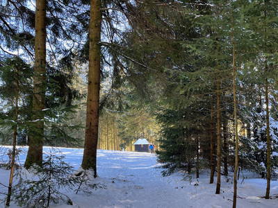 Bild 7 aus  Waldmeisterzimmer