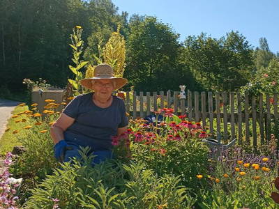 Bild 15 aus  Ferienhof Irlmühl