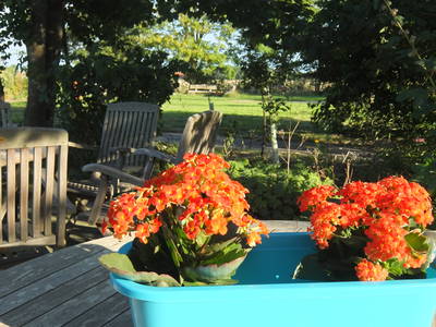 Bild 21 aus  WindWeiteWattenmeer Ferien in Tossens