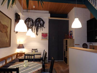 Bild 14 aus  Fjordgestüt Süderstapel GbR