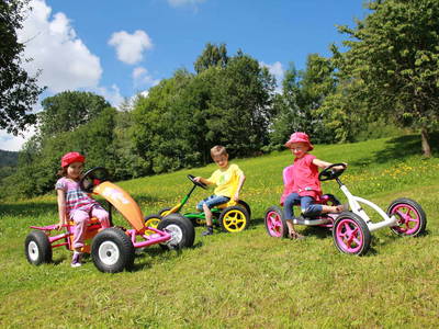 Bild 7 aus  Paulas Bauernhof im Bayerischen Wald