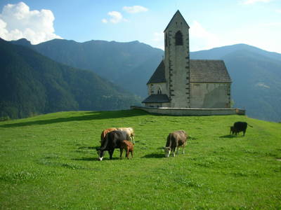 Bild 8 aus  Oberpiskoihof, Auszeit in den Südtiroler Dolomiten