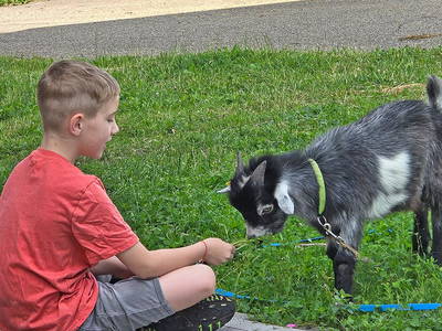Bild 13 aus  Willkommen bei Familie Gutmann  auf dem Itzenwaldhof