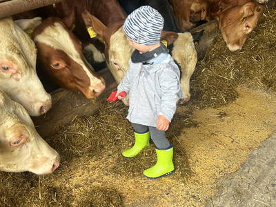 Bild 14 aus  Schwalbenhof