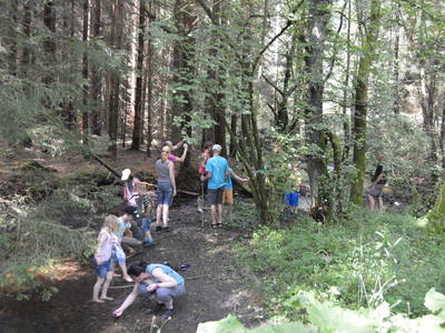 Bild 16 aus  Bauernhofpension Bals