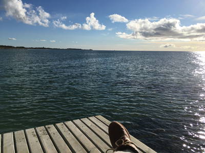 Bild 38 aus  Luftsnapper & Fellnasen