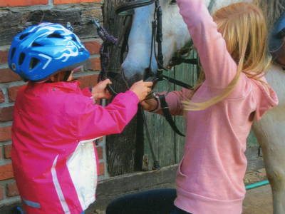 Bild 13 aus  Ferienbauernhof