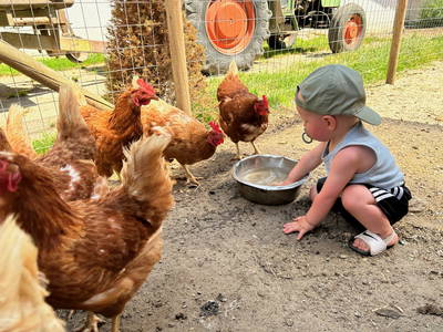 Bild 14 aus  Uetzenhof