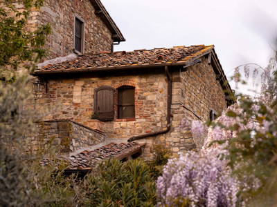 Bild 10 aus  LandSelection Weingut "IL PALAGIO"