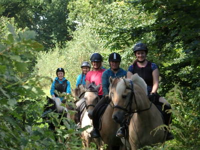 Bild 10 aus  Fjordgestüt Süderstapel GbR