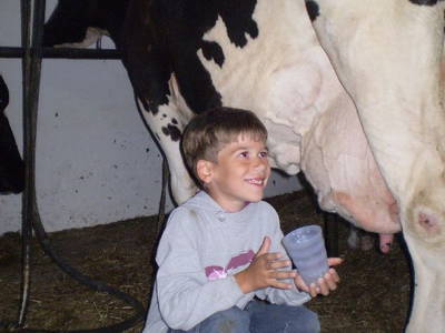 Bild 21 aus  Ommen Ferienhof