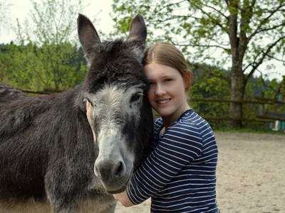 Bild 23 aus  Sternenhof