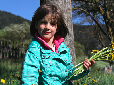 Bild 11 aus  Moserhof